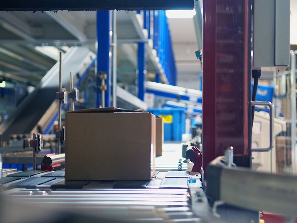 Cebeo1 DSC 0795 300DPI 1 kopieren